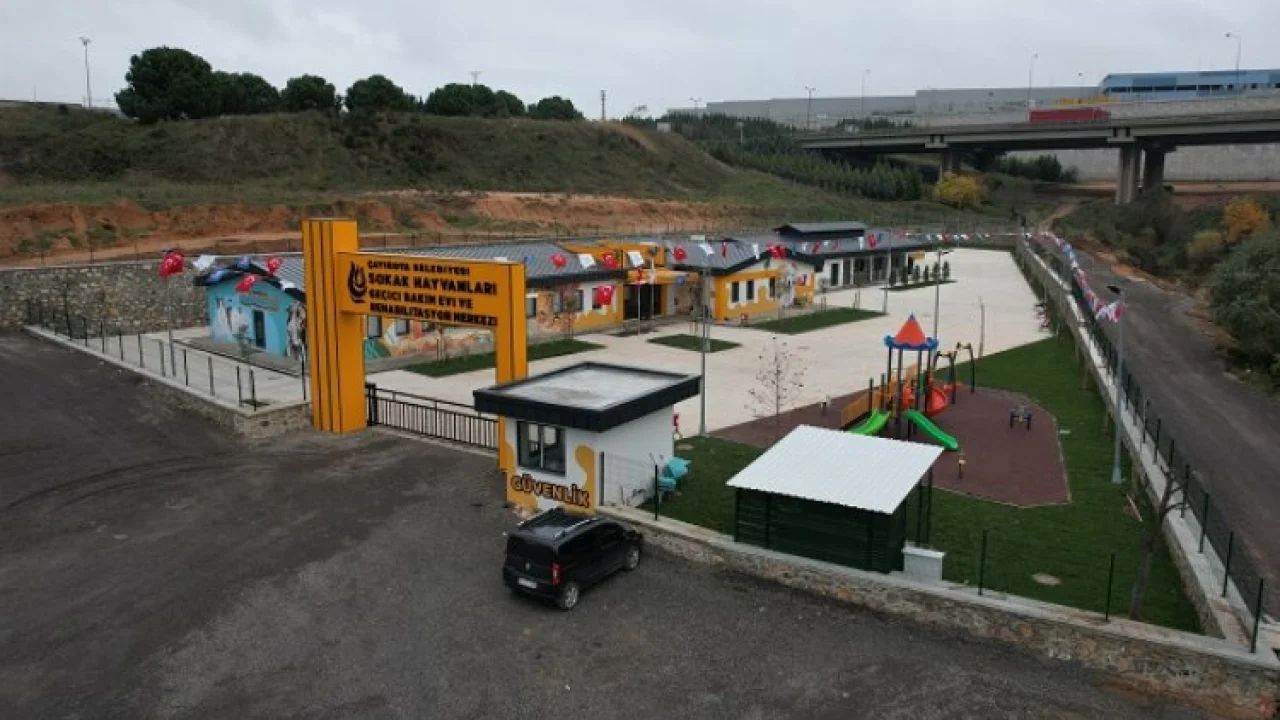 Çayırova'da can dostlara merhem olan merkez -