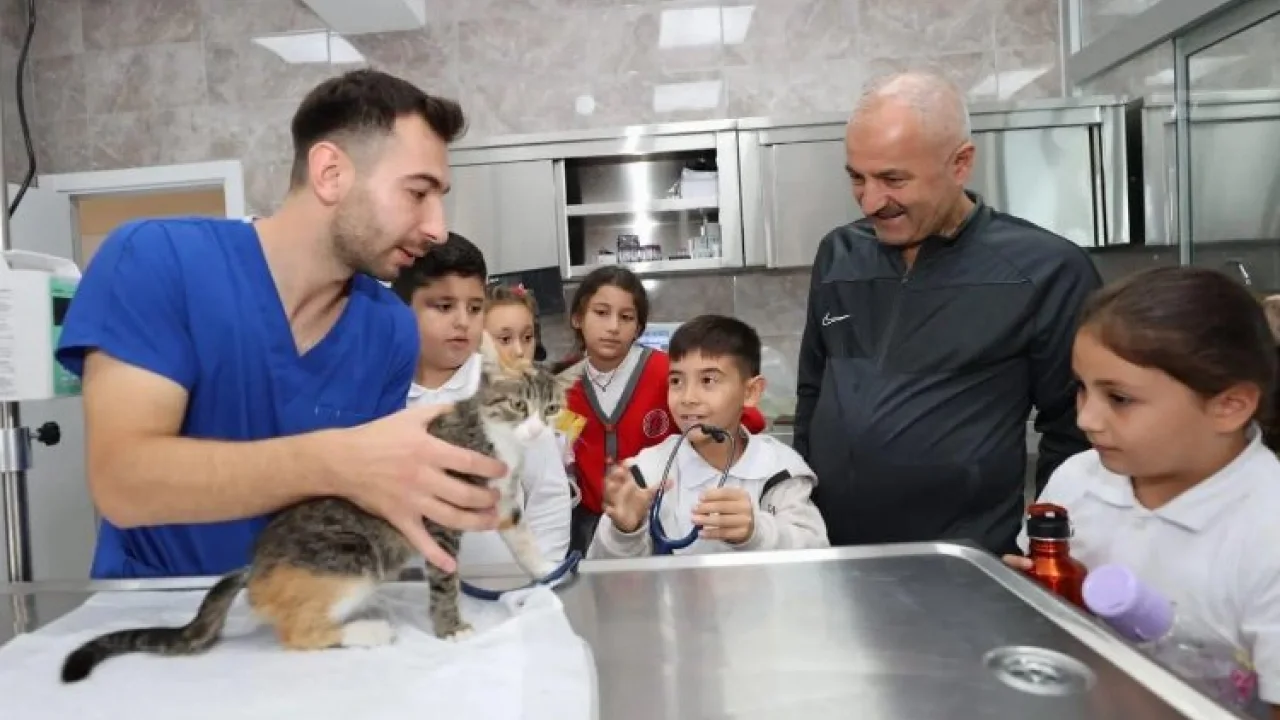 Gebze’de 2023 patili canların yılı oldu -