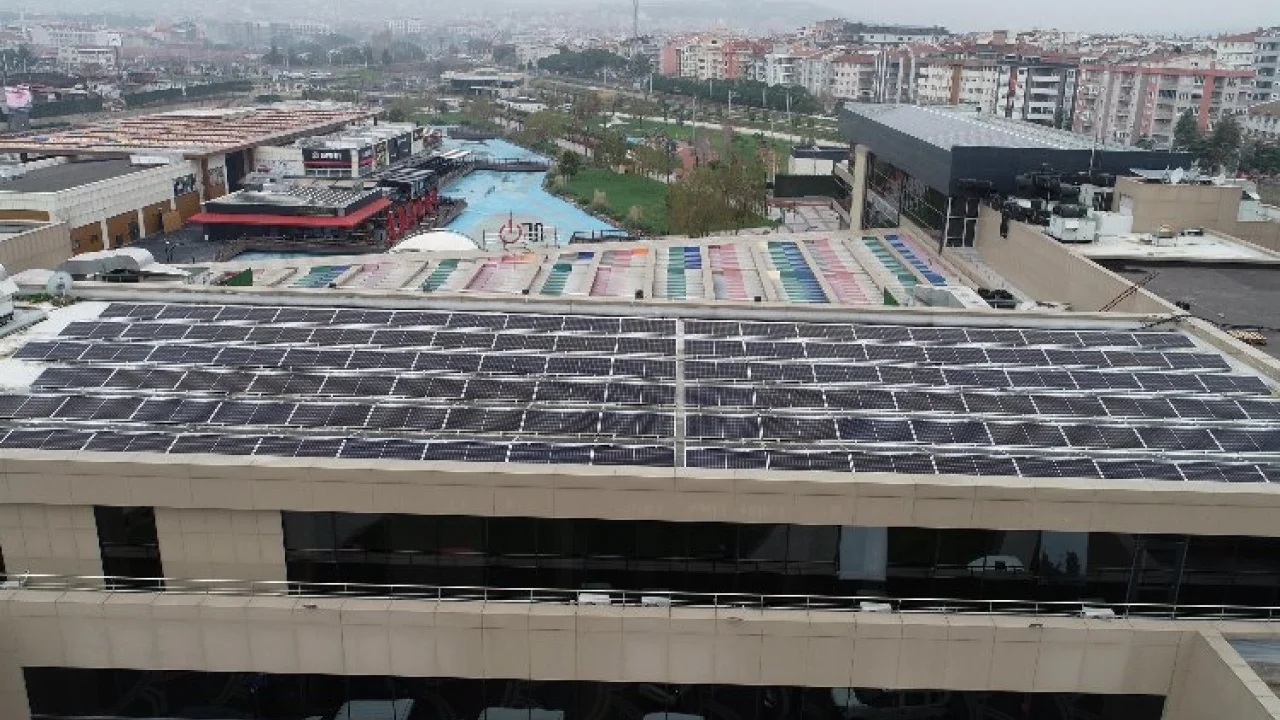 GES binlerce ağacı kurtarıyor -