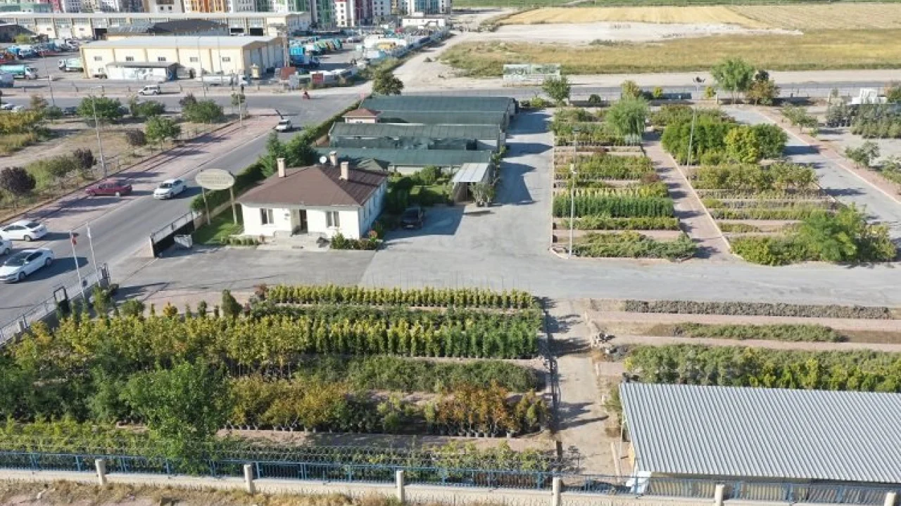 Kayseri Kocasinan en büyük fidanlığı kurdu -