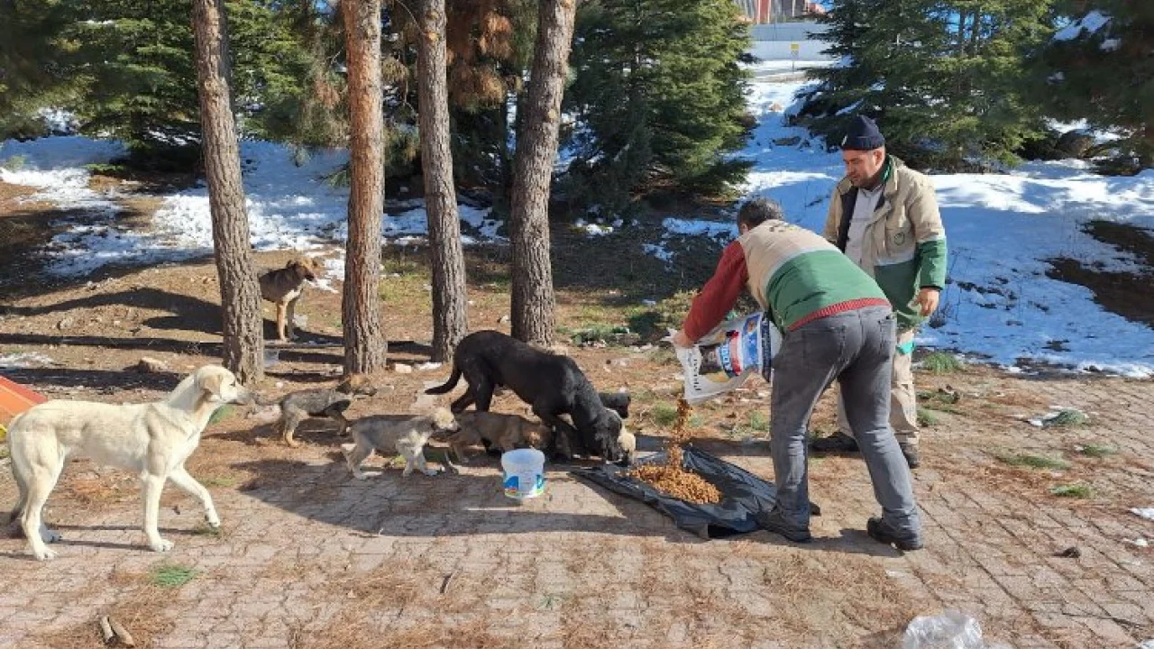 Malatya'da can dostları unutulmadı -