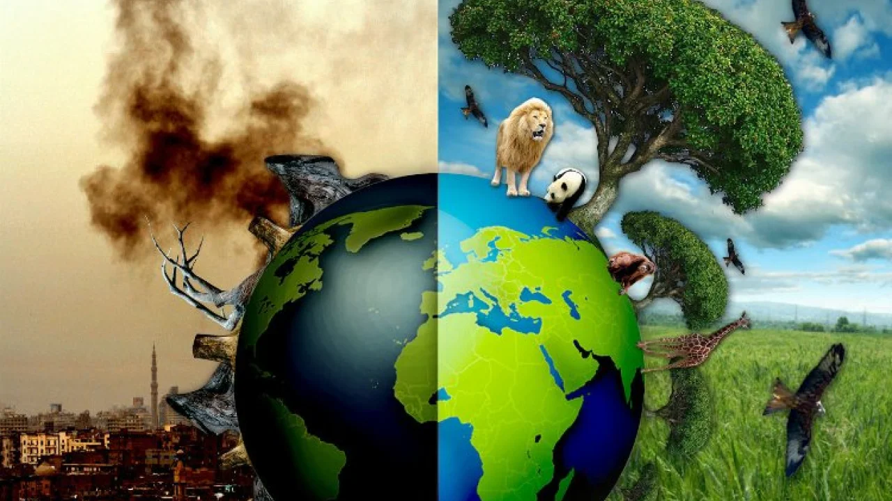 TEMA'dan geçen yıla 'çevresel' bakış! 2023'ü öne çıkan iyi ve kötü çevre olayları... -