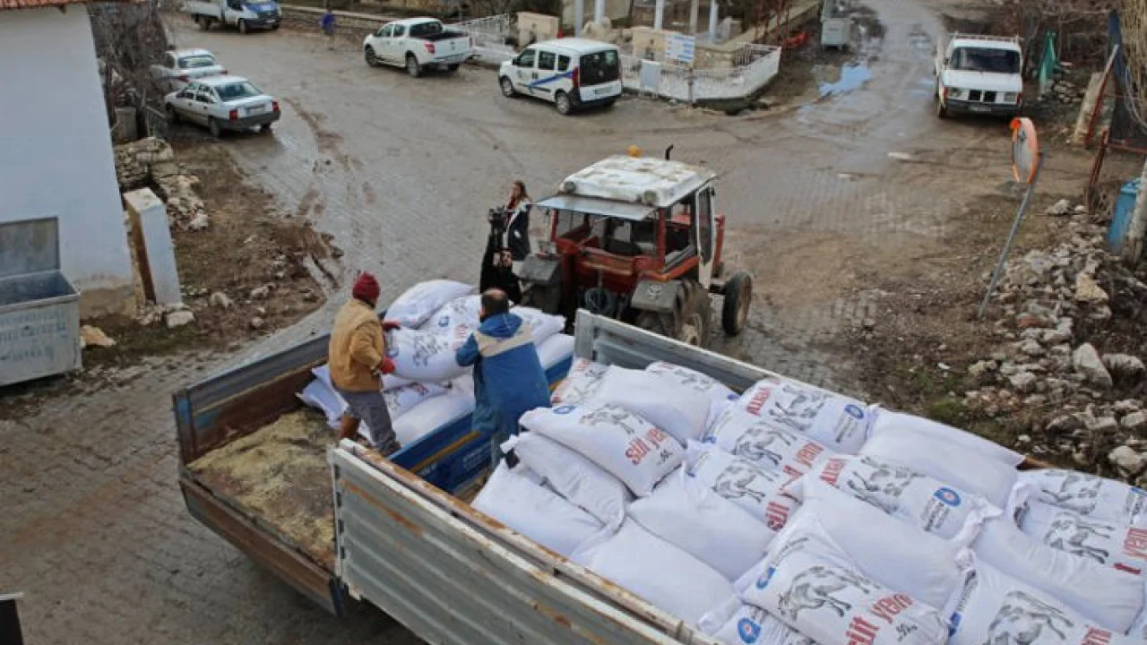 Üreticilere süt yemi desteği -