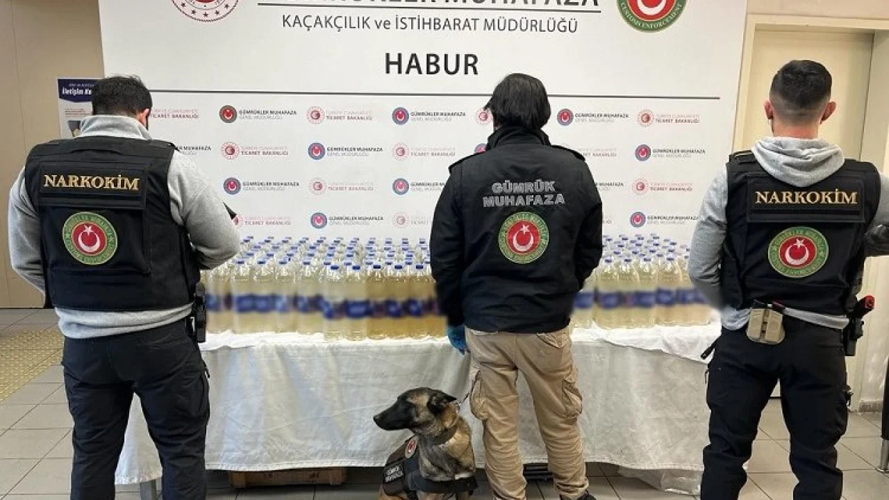 Habur Gümrük Kapısı'nda zehir operasyonu -