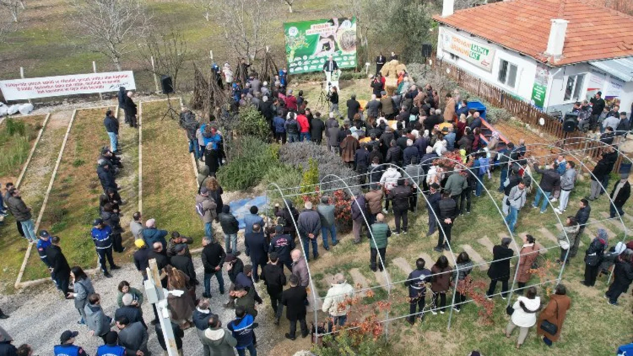 Muğla'da üreticilere fidan dağıtımına başladı -