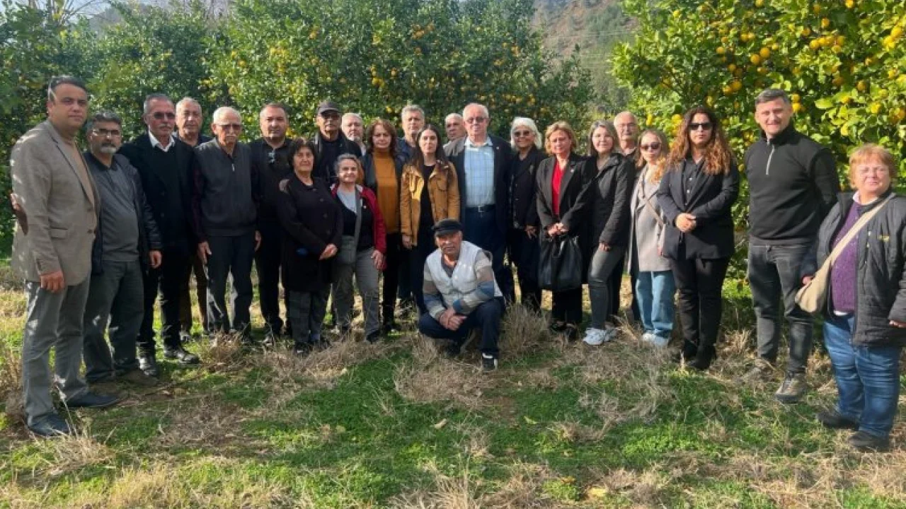 Muğla Milletvekili Özcan: "Bu sene limon dalında kaldı" -