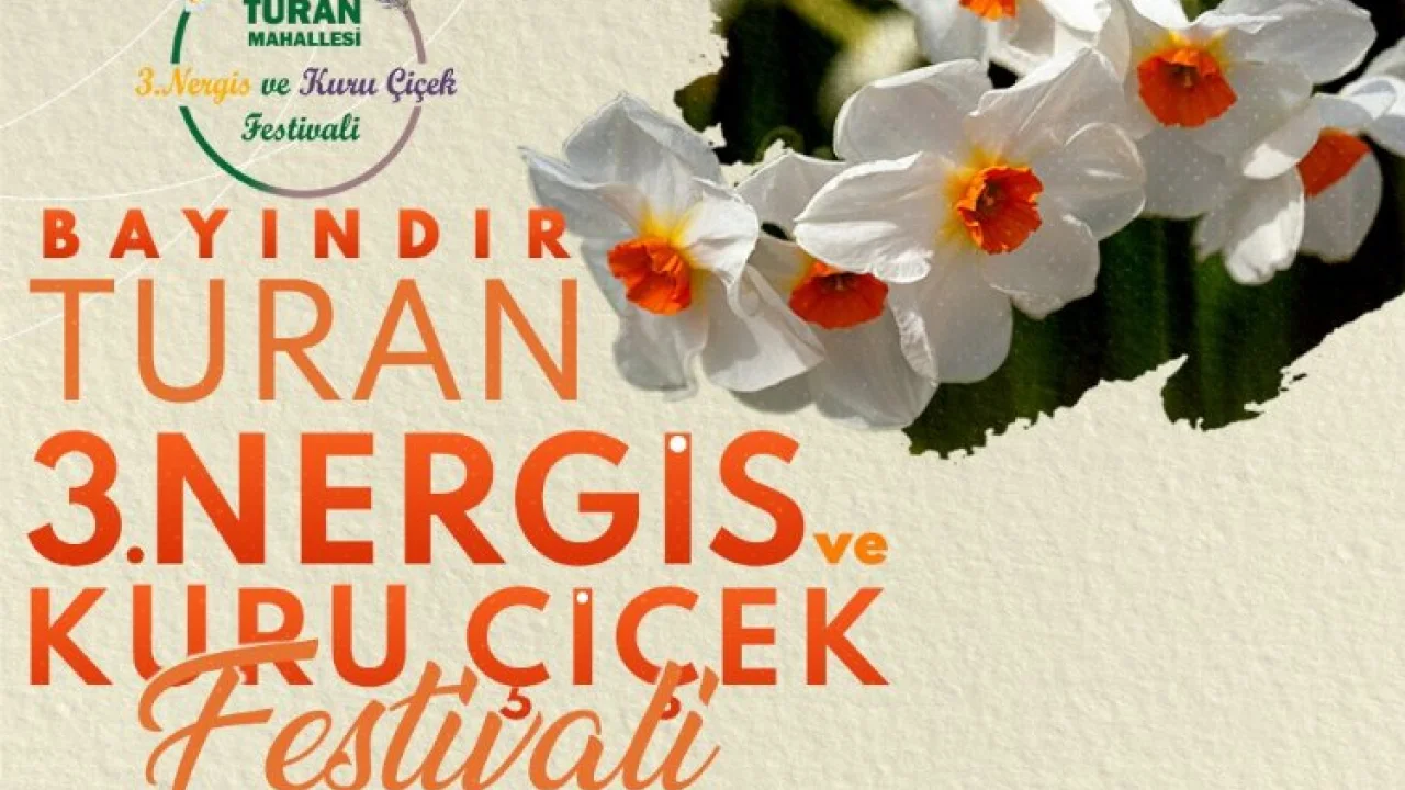 Nergis ve Kuru Çiçek Festivali 3. yılında -