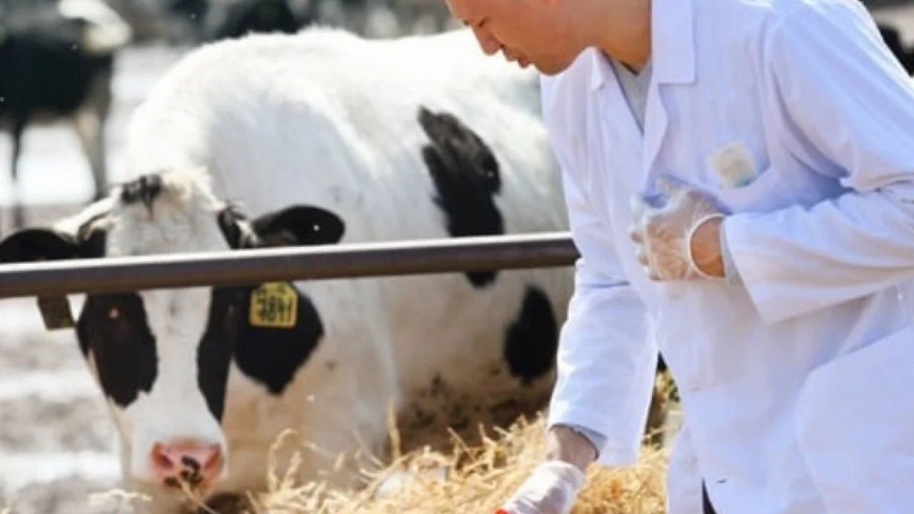 Tarımsal girdiler artışta... Veteriner harcamaları başı çekiyor -
