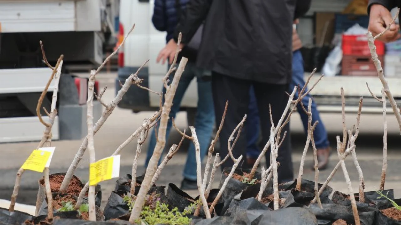 Konya'da kırsala 'Antep Fıstığı' desteği -