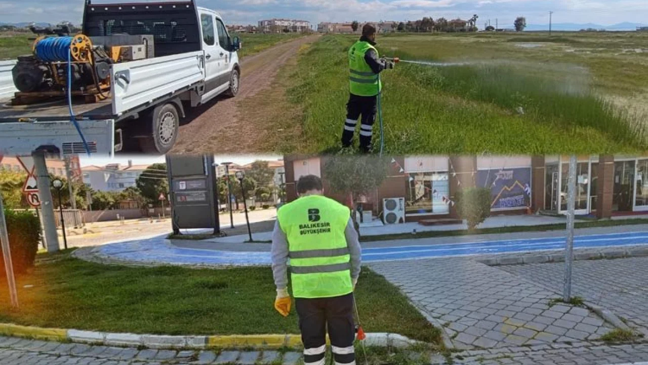 Balıkesir'de haşere alarmı -