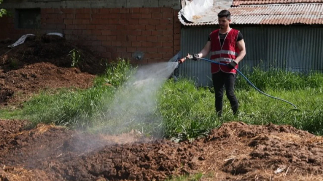 Düzce'de ilaçlama çalışmaları yeniden başladı -