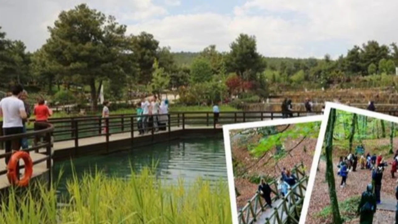 'Milli Park'lar ziyaretçilerini bekliyor -