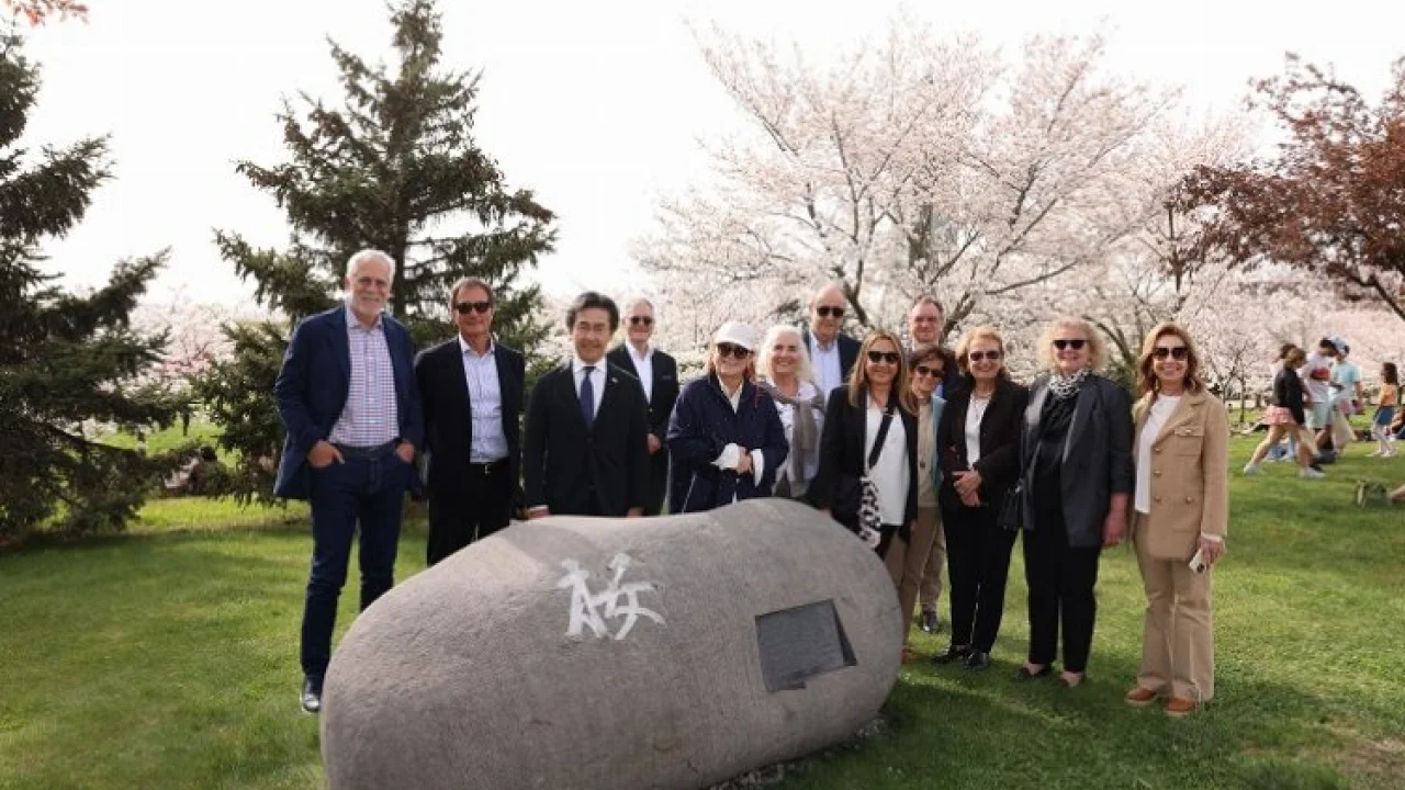 Sabancı Üniversitesi'nde Sakura Festivali ile Japonya rüzgarı esti -