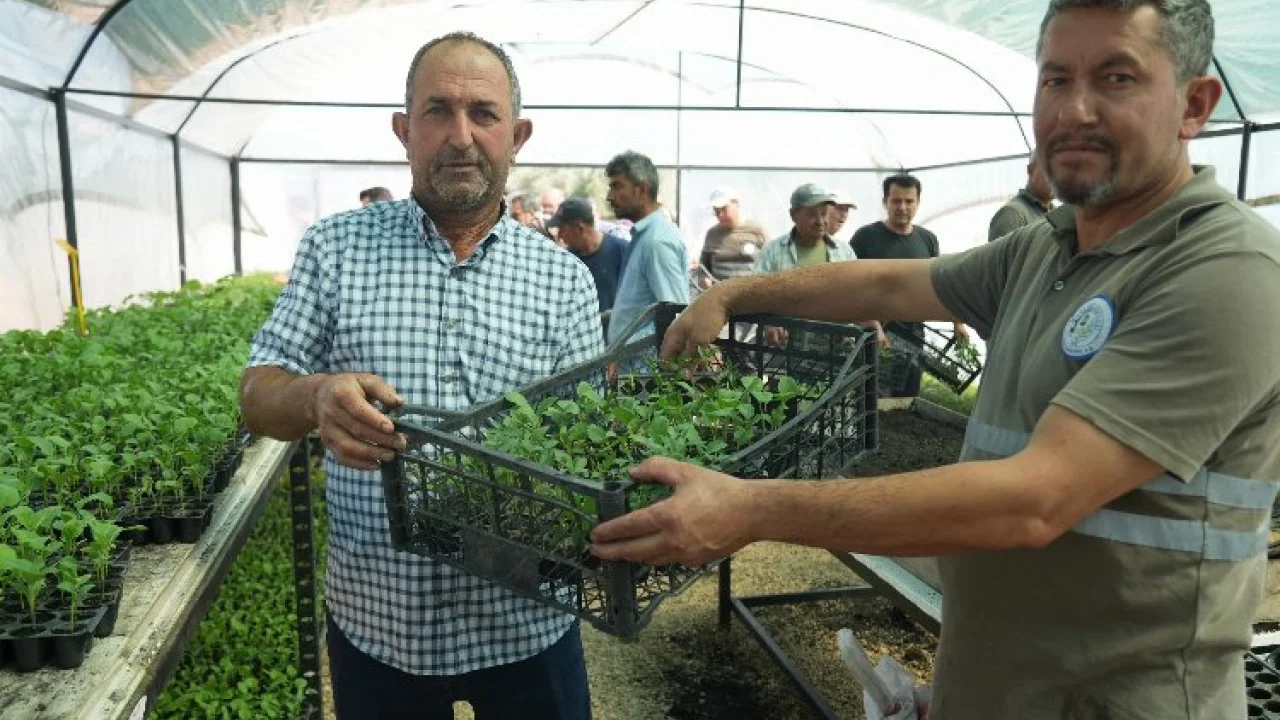 Muğla Milas'ta üreticilere fide desteği -
