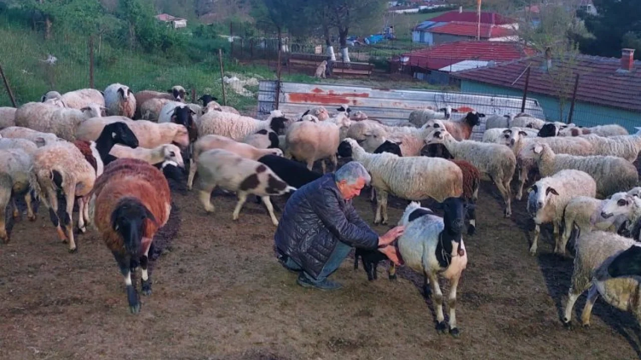 Çalışanlarına koç hediye etti -