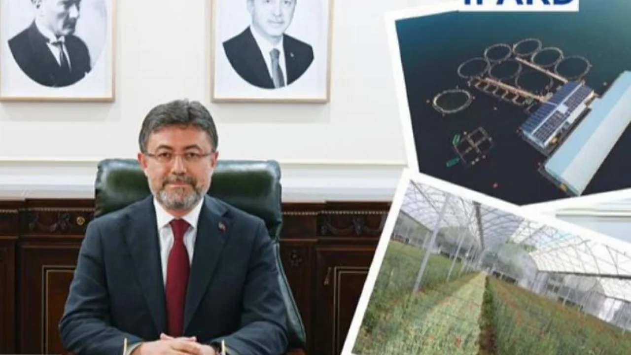 IPARD 3'te ikinci çağrı yapıldı... Destek bütçesi 80 milyon Avro -
