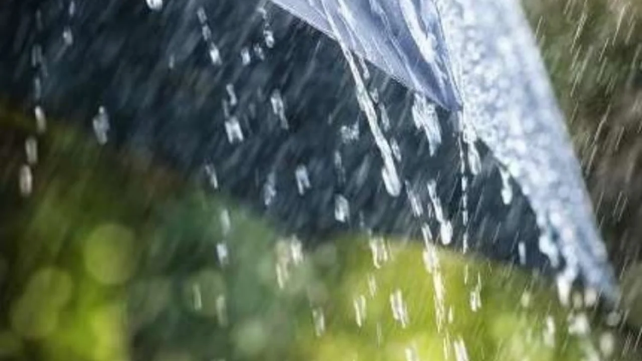 AFAD'dan Trabzon, Giresun, Samsun ve Ordu'ya uyarı! -