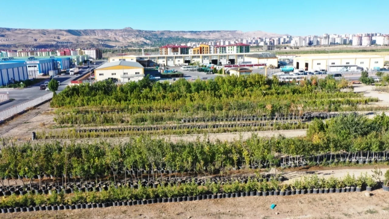 Başkan Çolakbayrakdar, “Yeşil ve daha yeşil bir Kayseri için çalışıyoruz” -