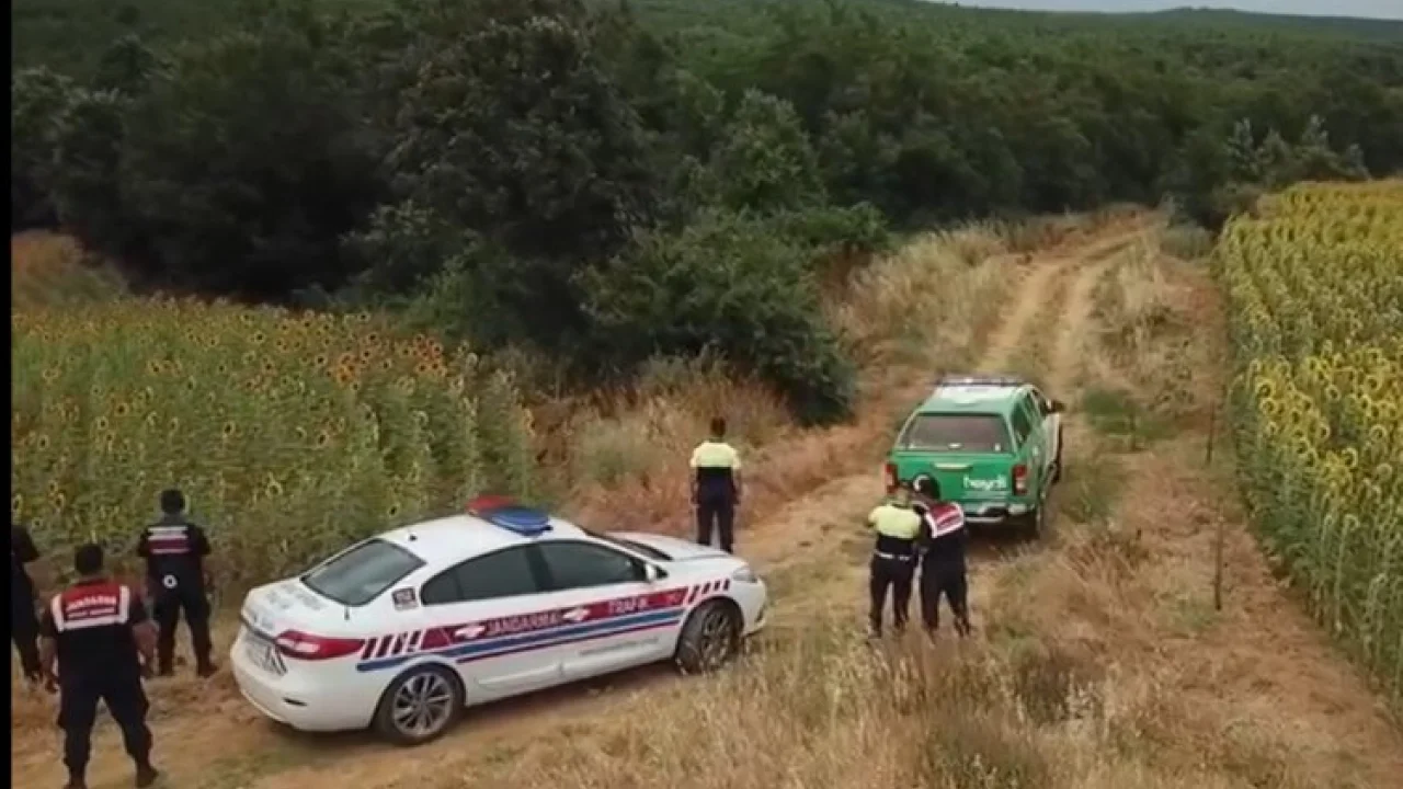 Edirne Keşan'da ormanlara drone ile denetim -