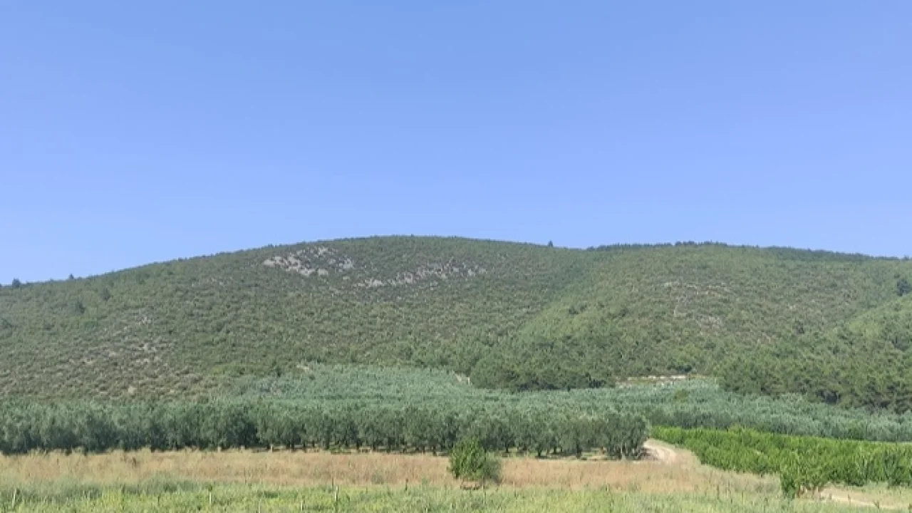 Proje Evi Kooperatifi 'ANATOLiVAR'kapsamında Bursa’da -