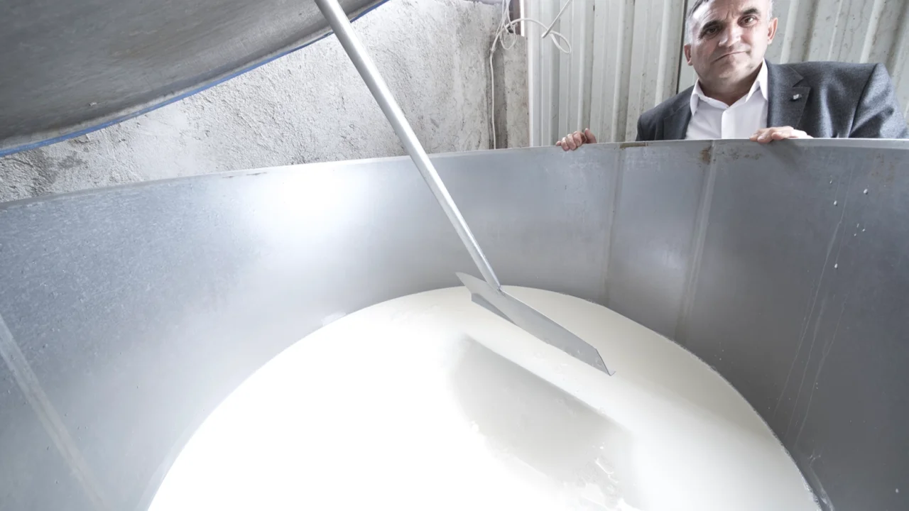 Süt fiyatlarında düşüş başladı -