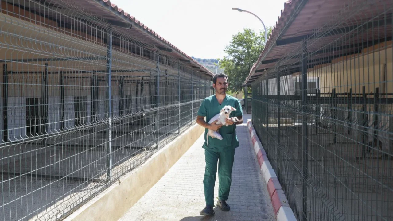 Can dostlarına sıkı tedavi -