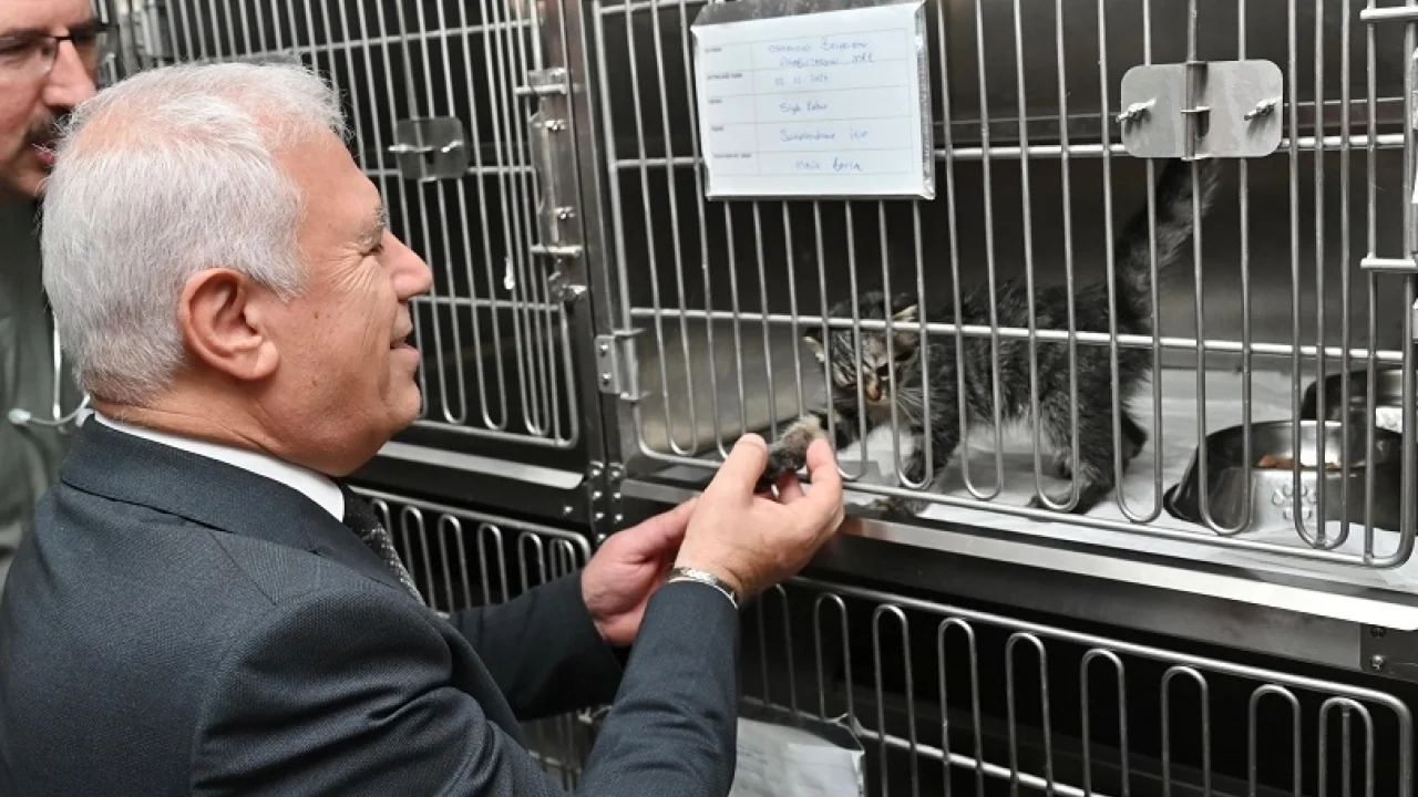 Bursa Büyükşehir'den 'yuvanız yuvası olsun' projesi -