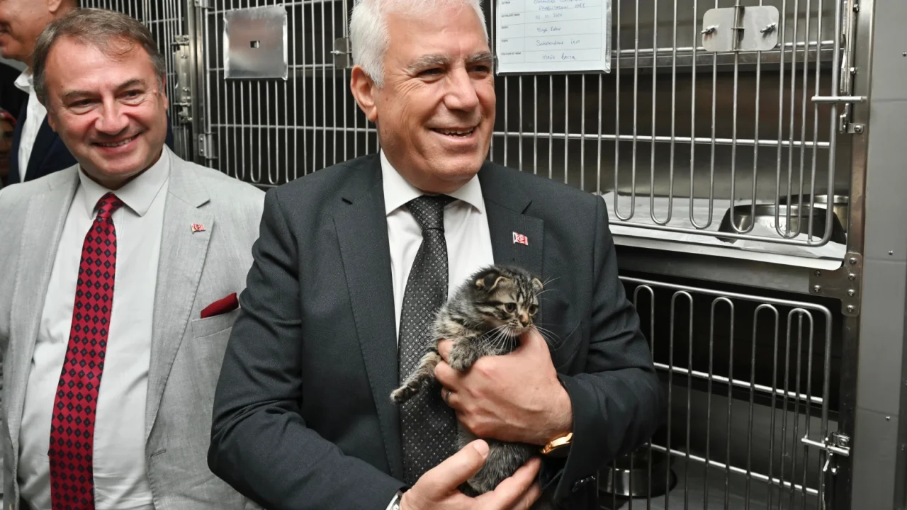Bursa'da can dostlar için 'yuva' seferberliği -