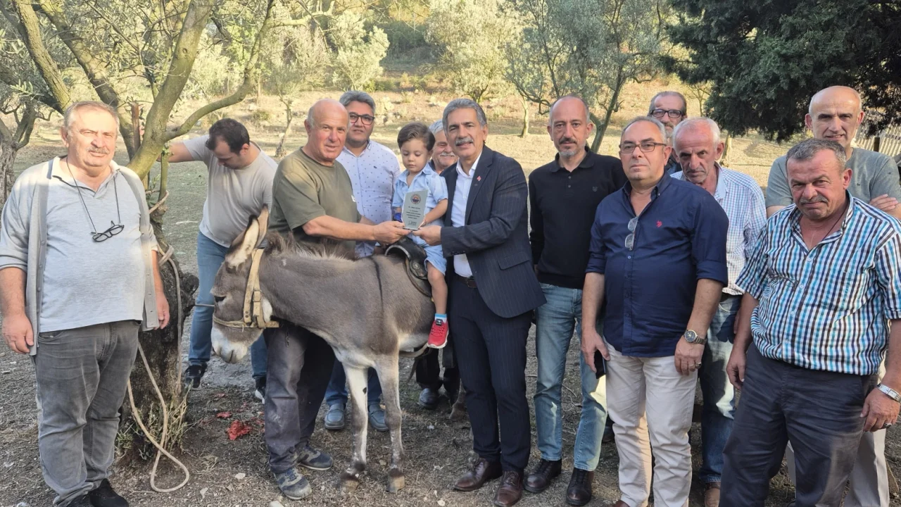 Bursa Gemlik'te festivalin renkli ismine ziyaret -