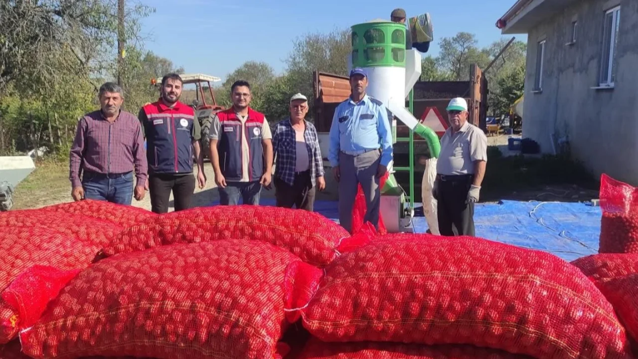 İpsala’nın Karaağaç Köyünde ceviz hasadı devam ediyor -
