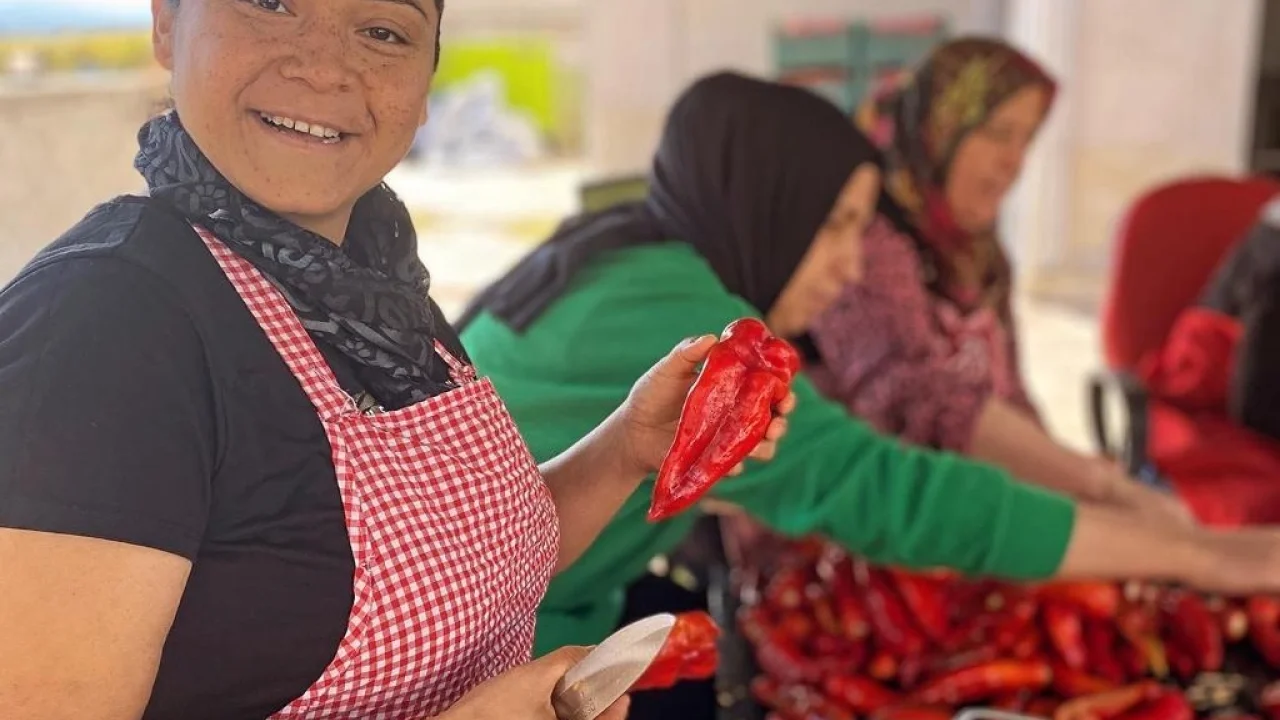 Kadın kooperatiflerinde e-ticaret hedefi iki kat -