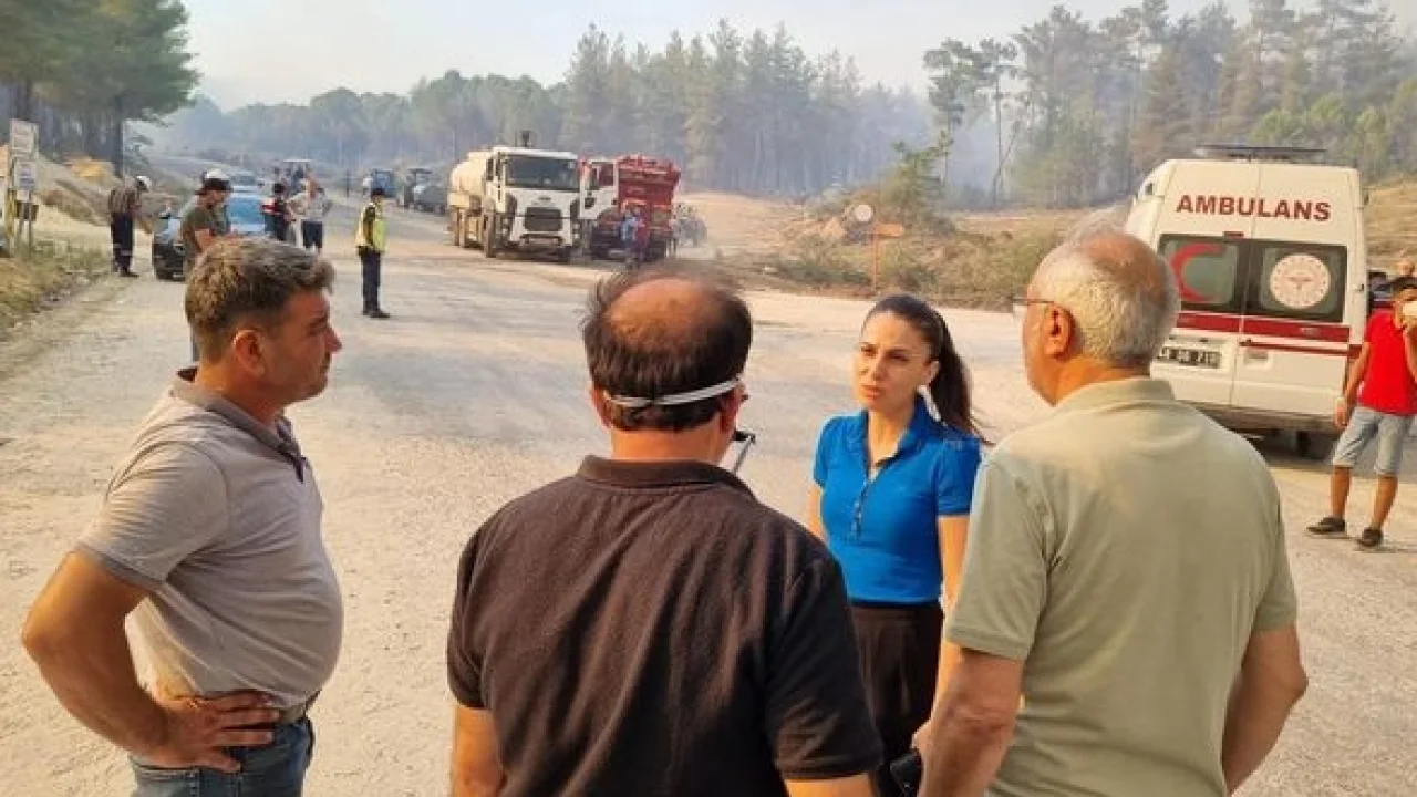 Muğla'daki yangınlar TBMM'ye taşındı... CHP'li milletvekili son 10 yılın hesabını sordu -