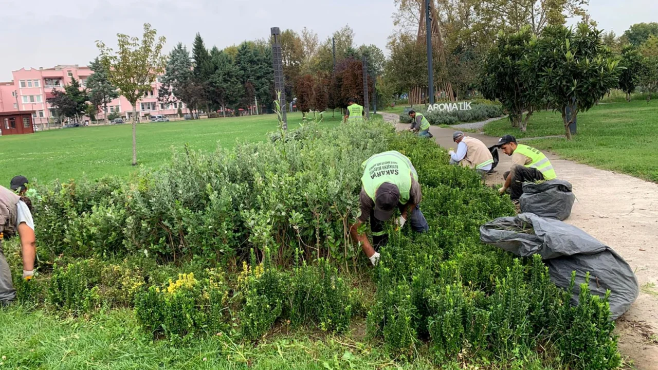 Sakarya'da şehrin dört bir yanına sonbahar dokunuşu -