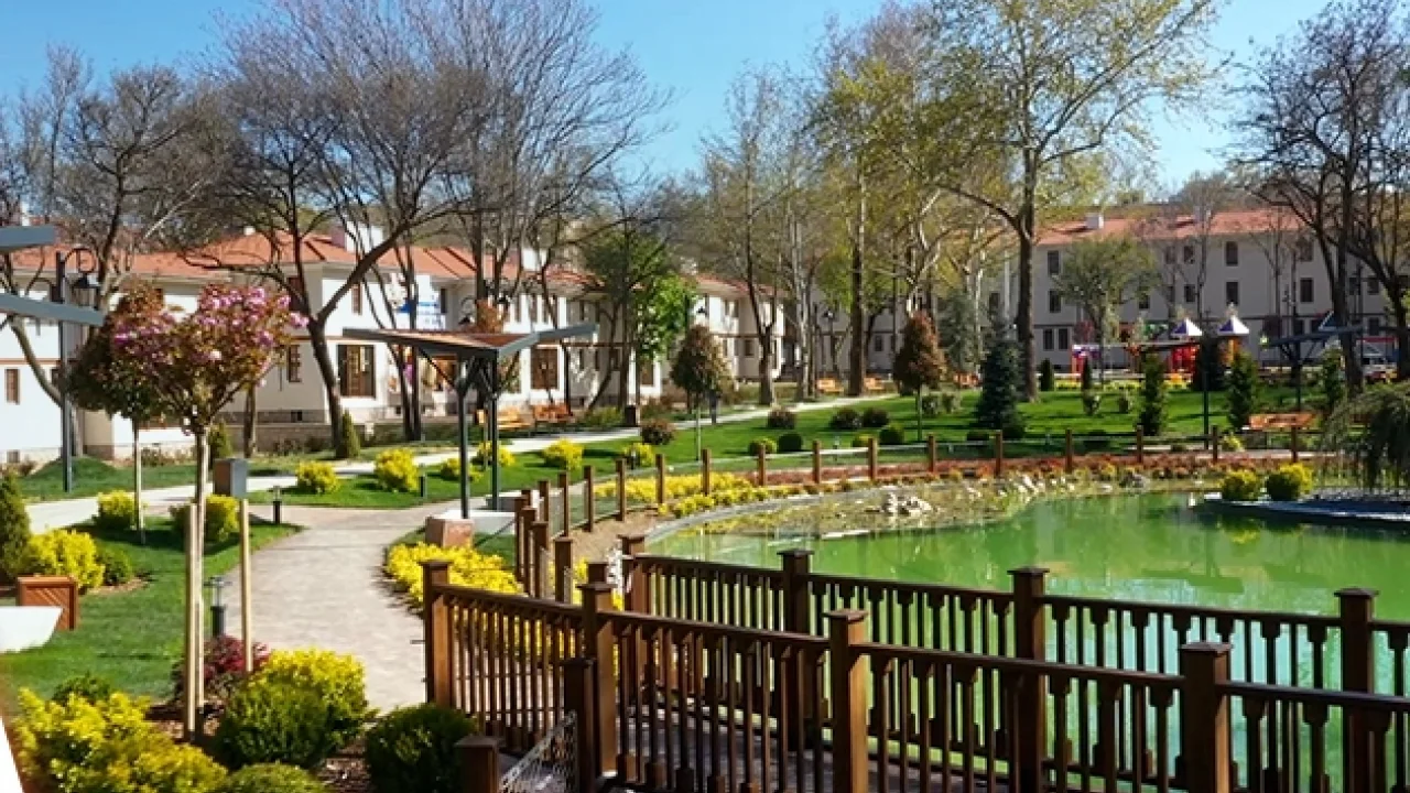 Ankara Kızılay'da 210 anıt ağaç koruma altında... Tarihi doku korunarak yenilendi -