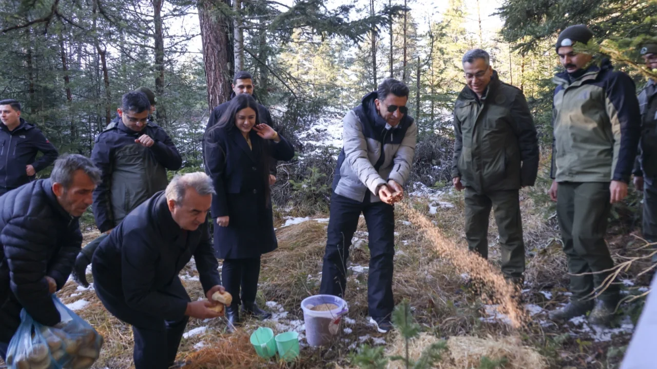 Bilecik'te yaban hayvanlarına Vali şefkati