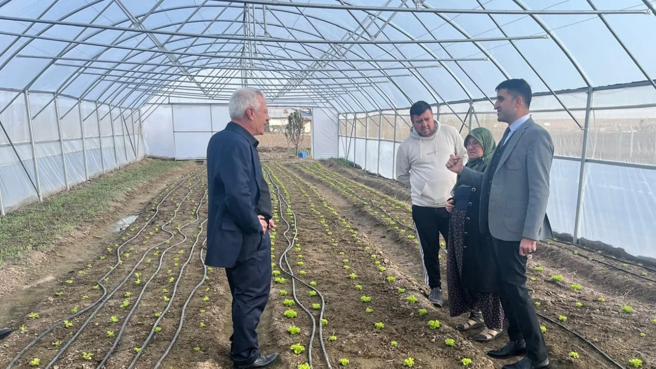 Esetçe'nin umut ışığı Meryem Teyze modern tarımla öne çıkıyor