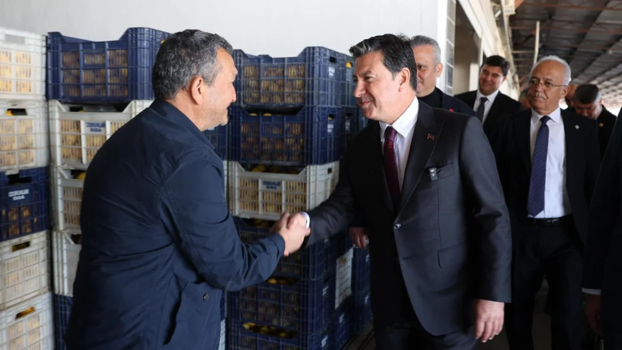 Başkan Aras Fethiye’de çalışmaları yerinde inceledi