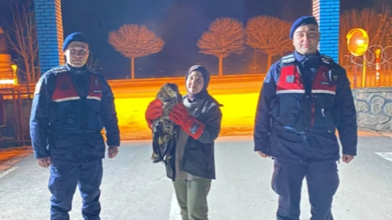 Eskişehir'de yaralı kızıl şahin tedaviye alındı