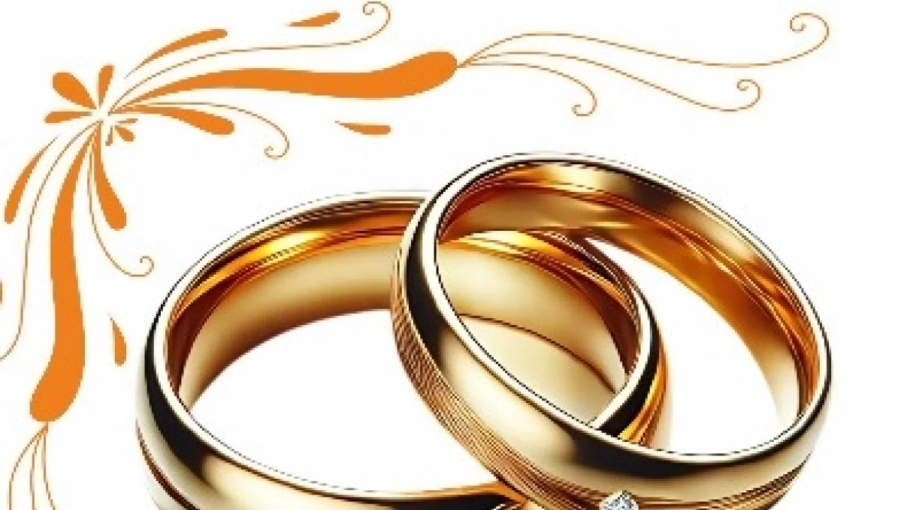 Malatya'da 100 çifte toplu nikah