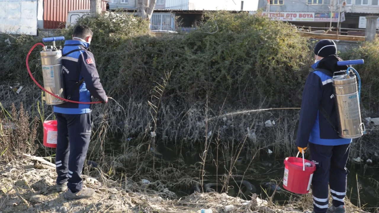 Muğla'da sivrisinek ile mücadele yıl boyunca devam ediyor