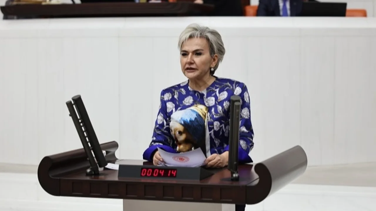 CHP'li Milletvekili Özdemir'den yeni kanun teklifi