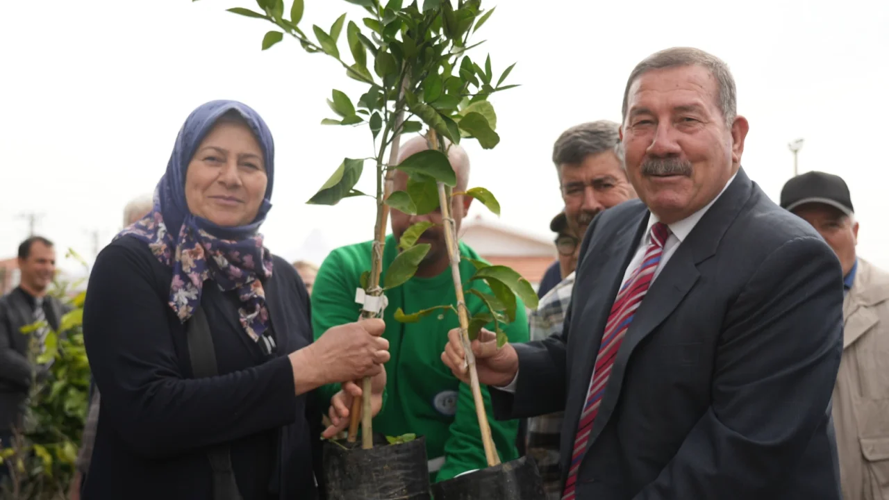 Muğla Milas'ta üreticilere fidan desteği sağlandı