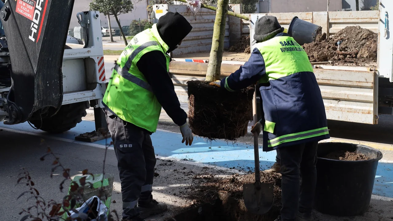 Sakarya'da yeşil’ dokunuşla şehrin çehresini değiştiriyor