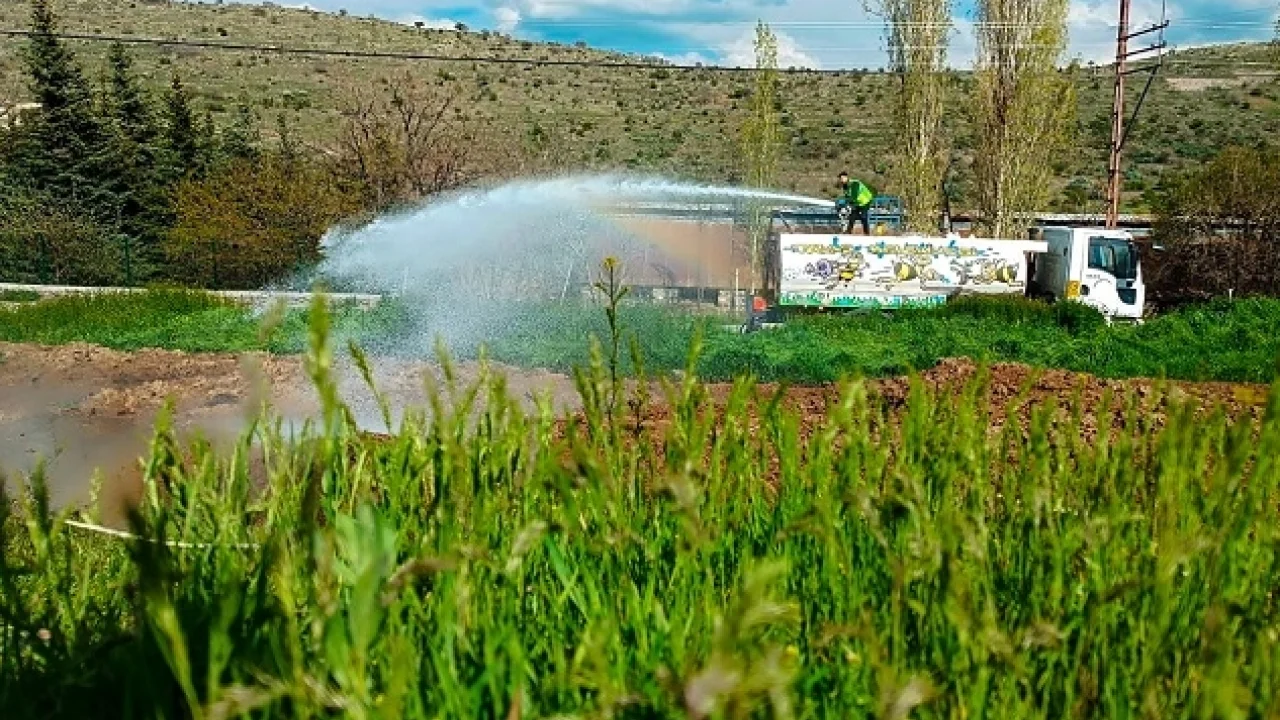 Kayseri Talas'ta haşerelere karşı erken önlem