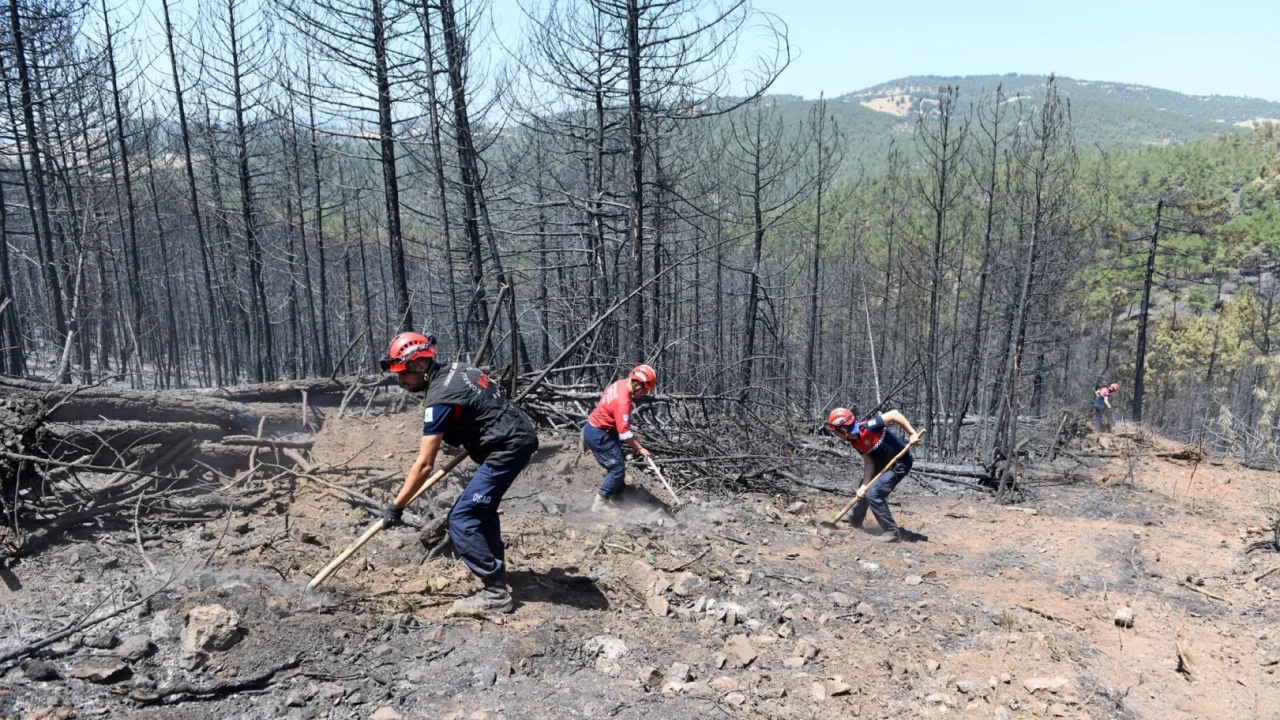 Bursa'da orman yangınlarına OSAD'dan koordineli müdahale
