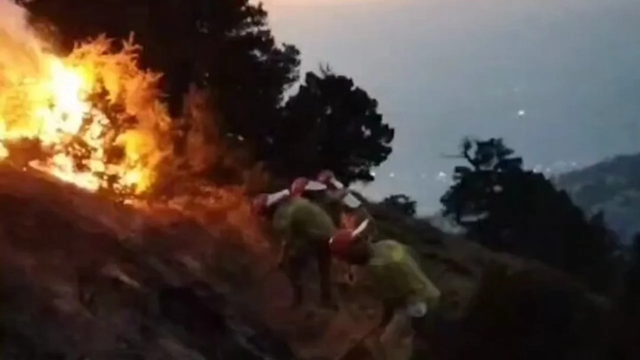 Denizli Pamukkale’deki orman yangını büyük ölçüde kontrol altında