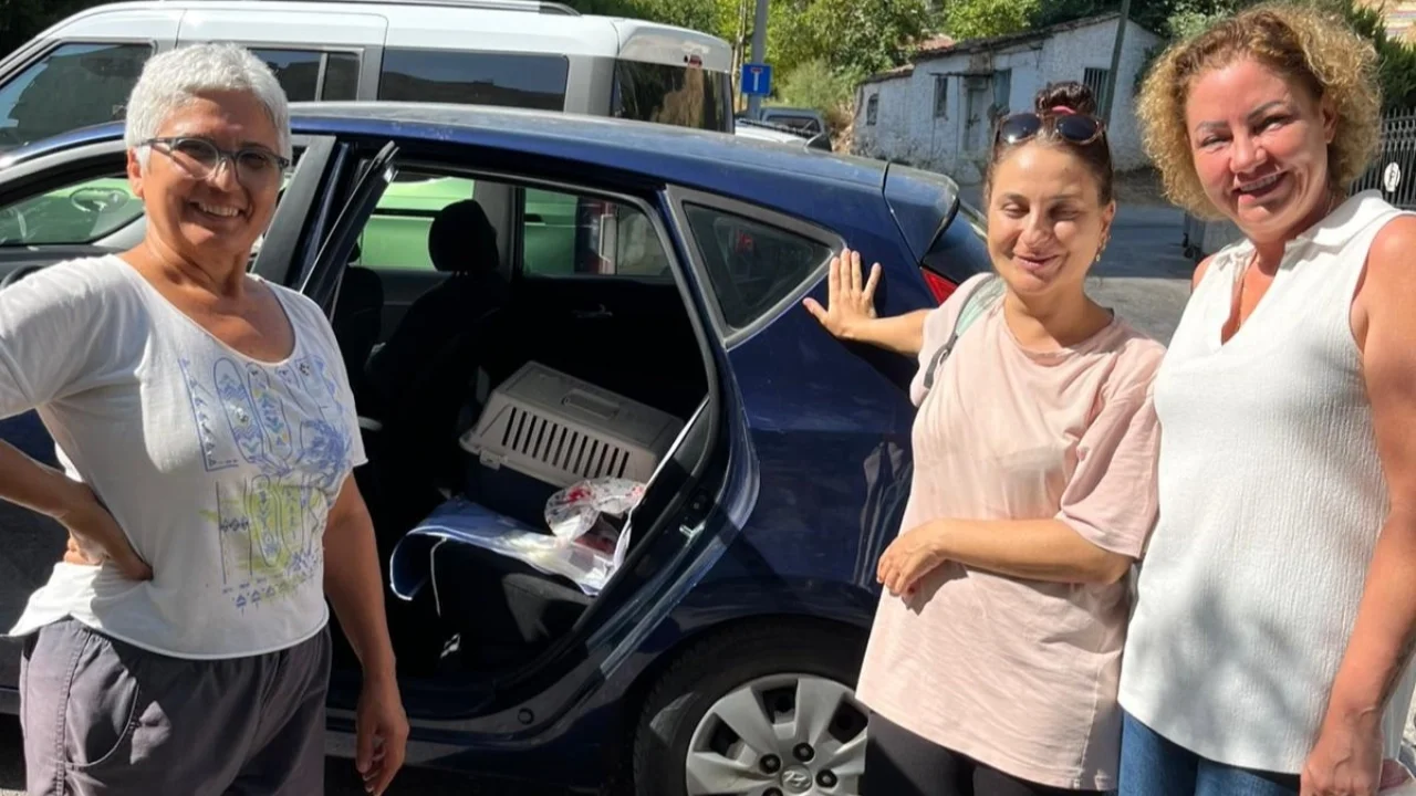 İzmir Narlıdere'de minik dostlar için seferberlik