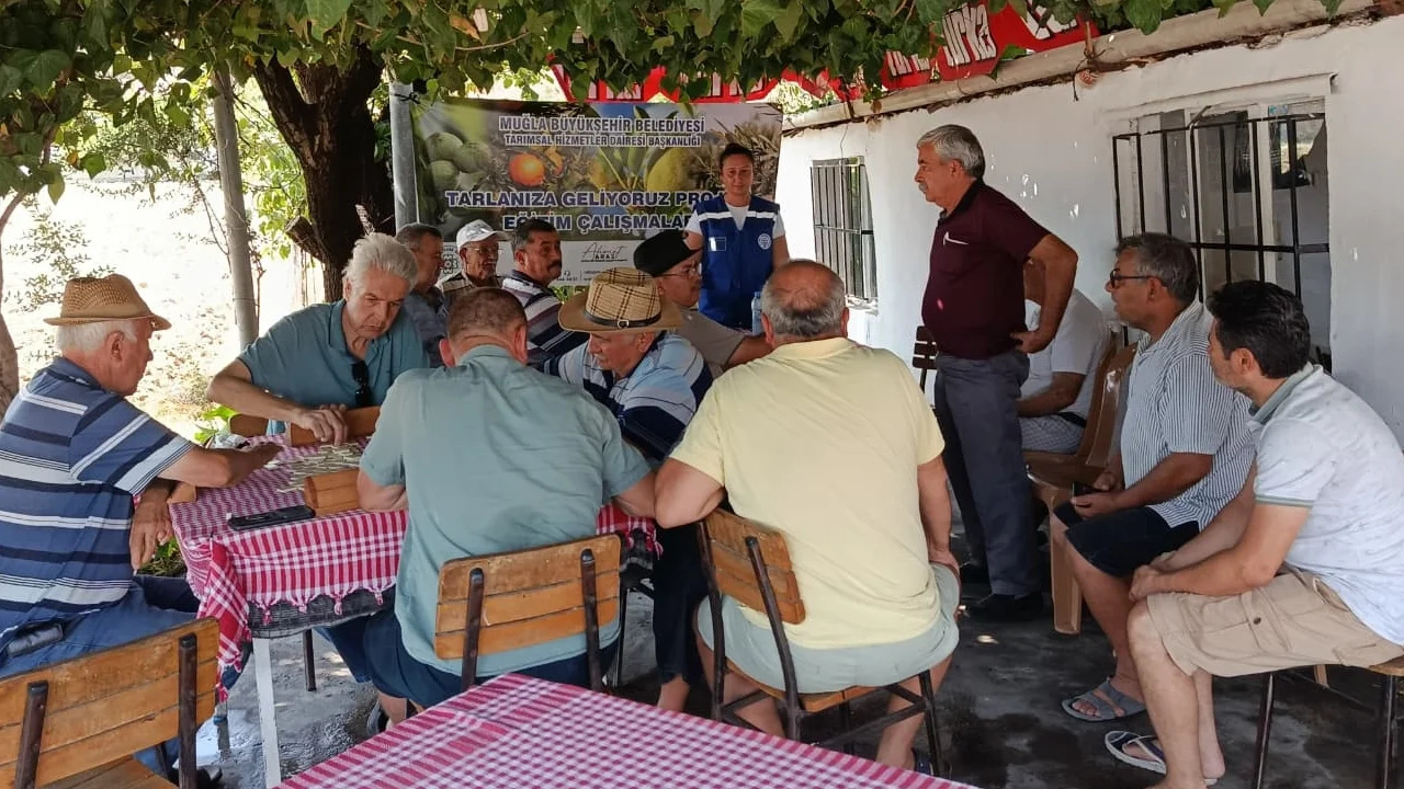 Muğla Büyükşehir’den zeytin üreticisine eğitim desteği