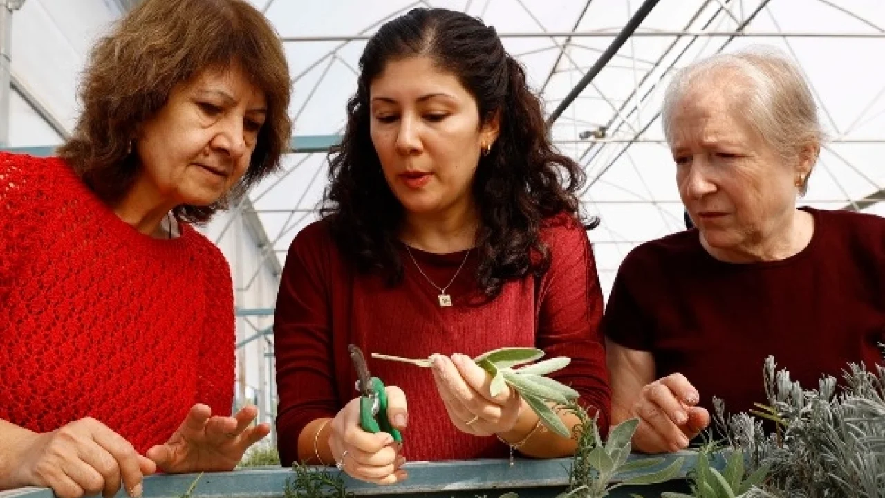 Antalya’da 'Tıbbi ve Aromatik Bitki Yetiştiriciliği' kursu ilgi görüyor