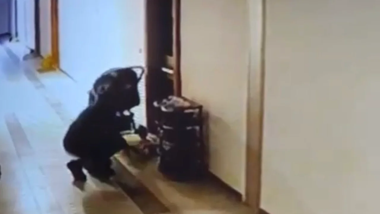 Düzce'de kuryenin ayakkabı hırsızlığı kameraya yansıdı